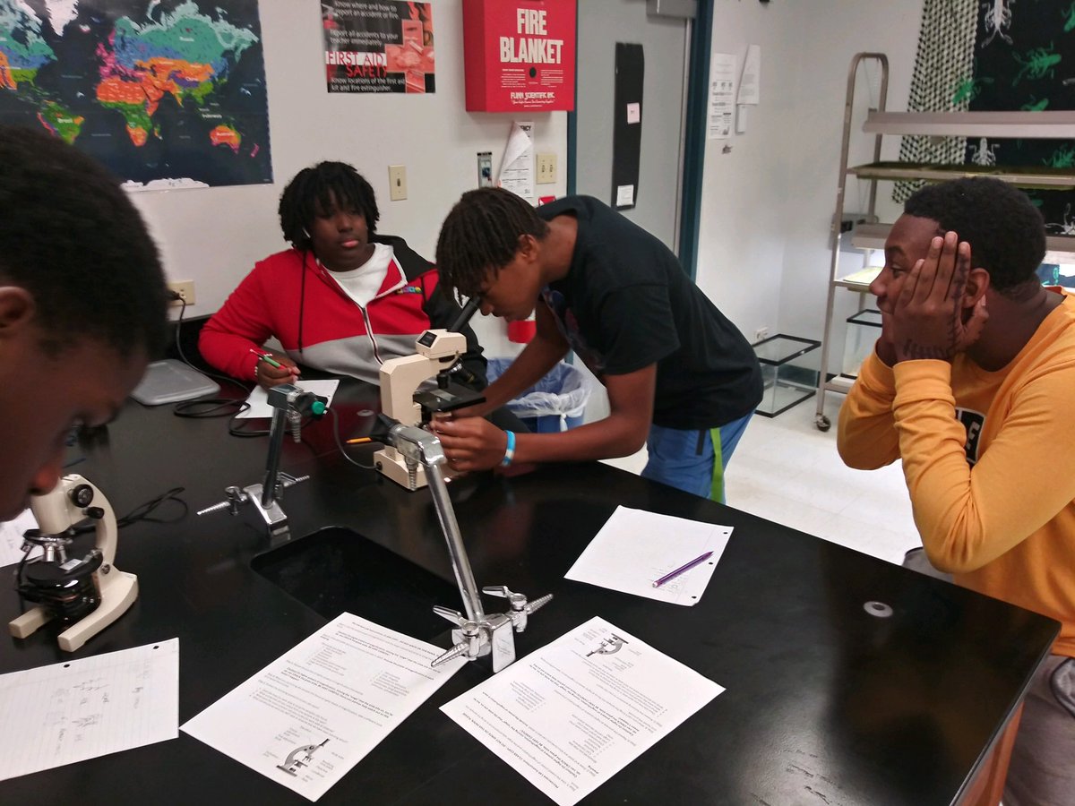 Spalding Biology tweet media