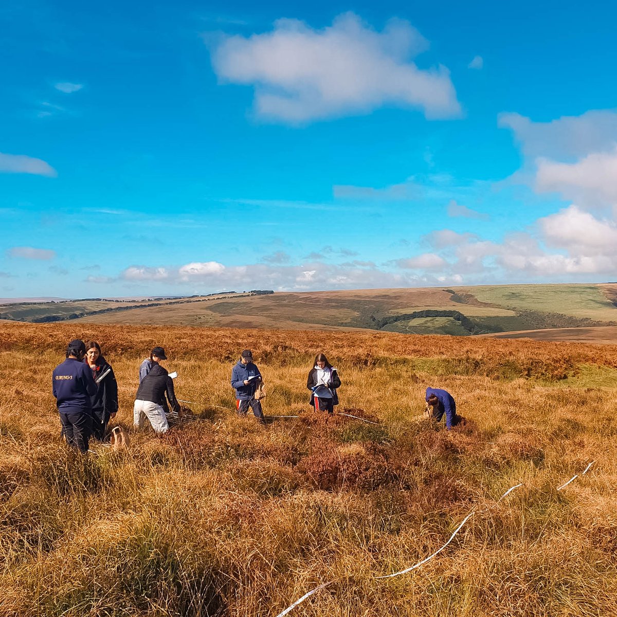 tauntonschool's tweet photo. Our biology students recently ventured to Exmoor to explore the effects of land management on biodiversity. They witnessed the impact of unattended moorland and even worked to reintroduce the heath fritillary butterfly. π¦πΏπβ¨ #FindYourExceptional #ExceptionalTogether https://t.co/bwpzJ3D0pf