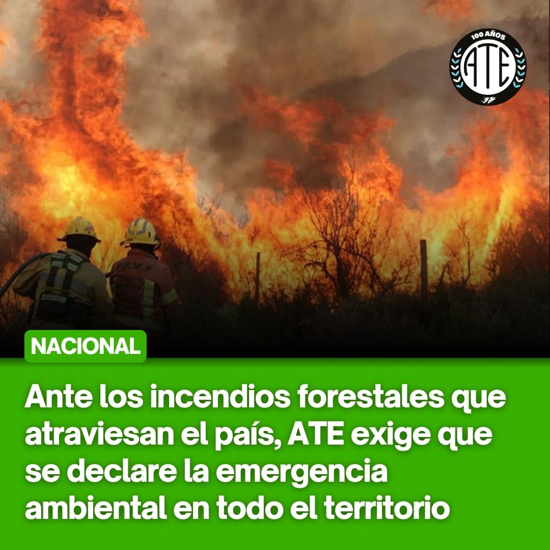ateprensa's tweet photo. 📢 ATE denuncia que las quemas son intencionales y tienen que ver con negocios inmobiliarios, agronegocios o la extracción minera todo vinculado al Régimen de Incentivos para Grandes Inversiones.

👉 https://t.co/scg2KDJBRu https://t.co/4vMFddV2yU