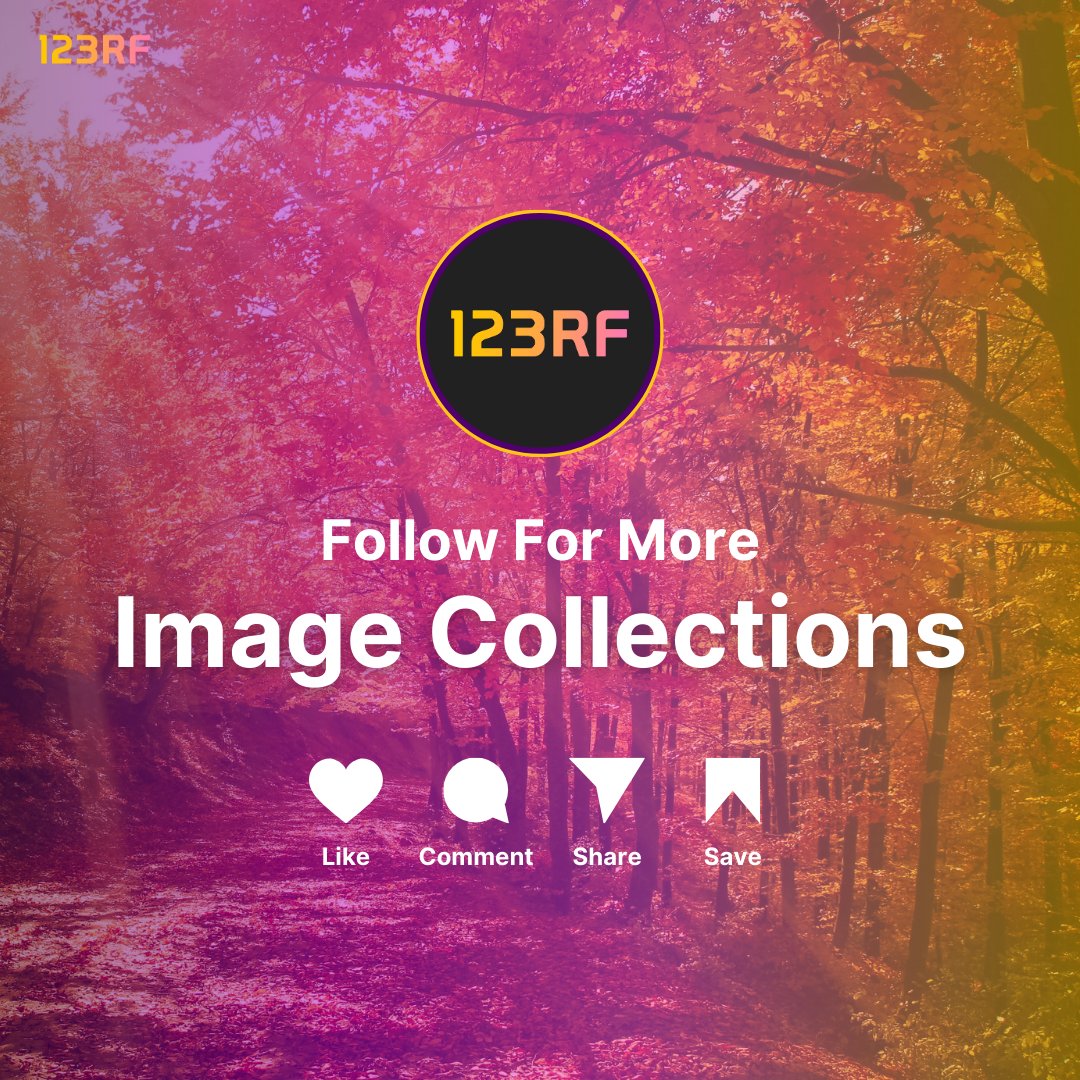 123rf's tweet image. Cozy up, folks! 🍁☕️ Our &quot;Falling for Autumn&quot; collection is here with heartwarming images that&apos;ll make you want to jump into a pile of leaves!

Check out the full collection: 123rf.to/falling-for-au…

#123RF #CreateWith123RF #FallingForAutumn #AutumnMagic #FallVibes