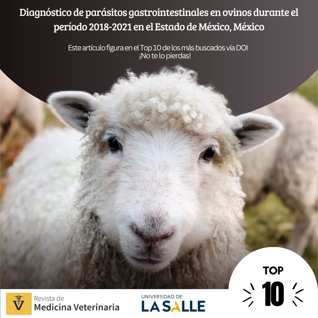RevMedVet's tweet photo. 🐑🩺En este artículo, podrás explorar cómo los parásitos gastrointestinales han impactado la salud de los ovinos en esta región, analizando prácticas de manejo y métodos de prevención. Da click en el siguiente link  https://t.co/AunLCwDVUt https://t.co/s2qSjKaBuv