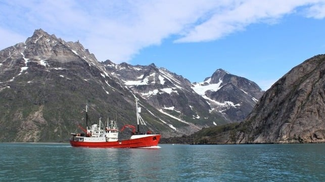 Tour Vessel Sinks Off Greenland, Spilling Fuel
On Sept 19, the small tour vessel Adolf Jensen was under way to Qaqortoq and was navigating past Nanortalk. At about 0145, the Jensen ran aground and began taking on water near the Tasermiut Fjord.
sgq.io/2ypu56L