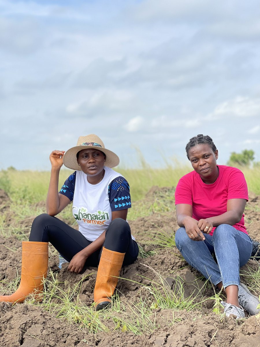 EnyonamManye's tweet photo. Dear New Farmers 📢

Over reliance on manual labour on your farm will you overwhelm you because target 🎯 won’t be achieved most often, hence, try to invest in technology to avoid being left behind. https://t.co/xVrkK79hJ9