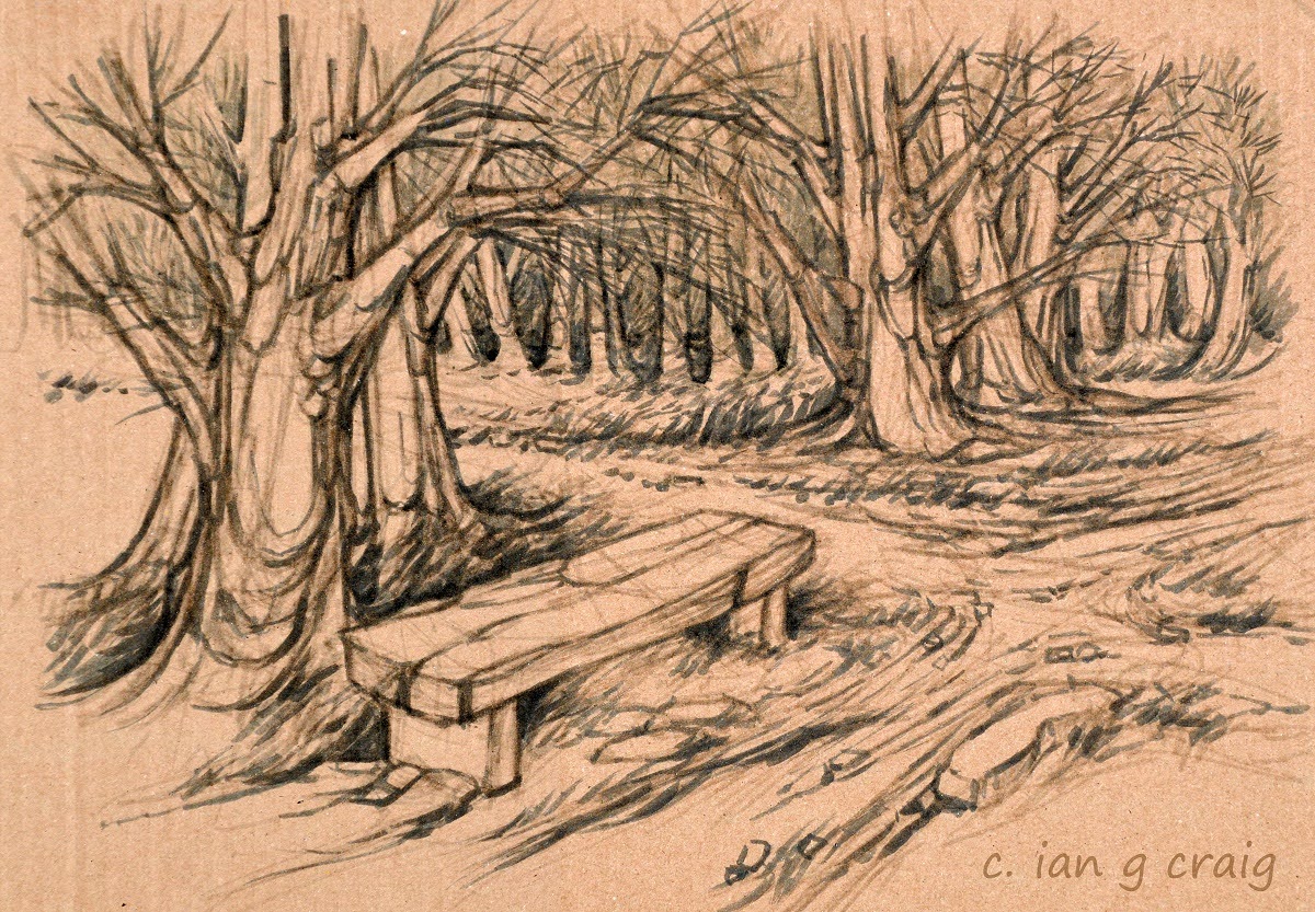 #Sketchbook #Forest. This witch’s bench is a very real place in the forest. Sit here at sunset. If you hear a rustle in the trees, make your wish, leave your gratuity, then scurry home. Don't turn around.