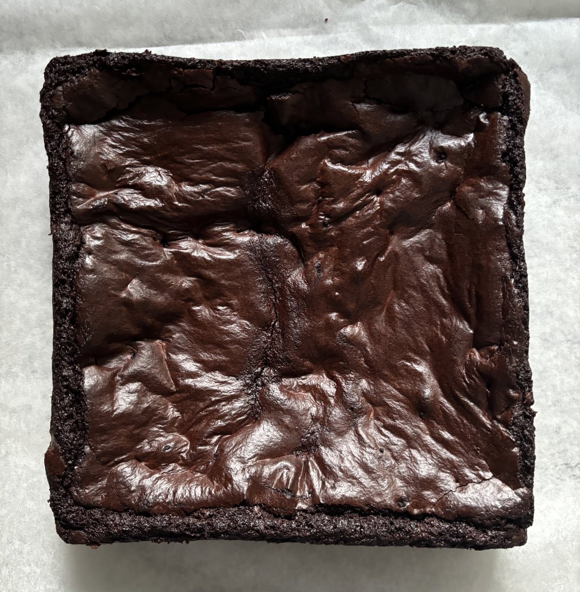 gracie ☆ tweet media