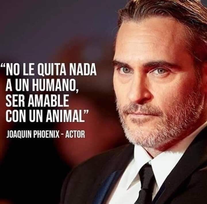 GRamirezF_D12's tweet photo. Si Señor, así se habla.!. 🎗️👏👏 https://t.co/0qdhFTvUUz