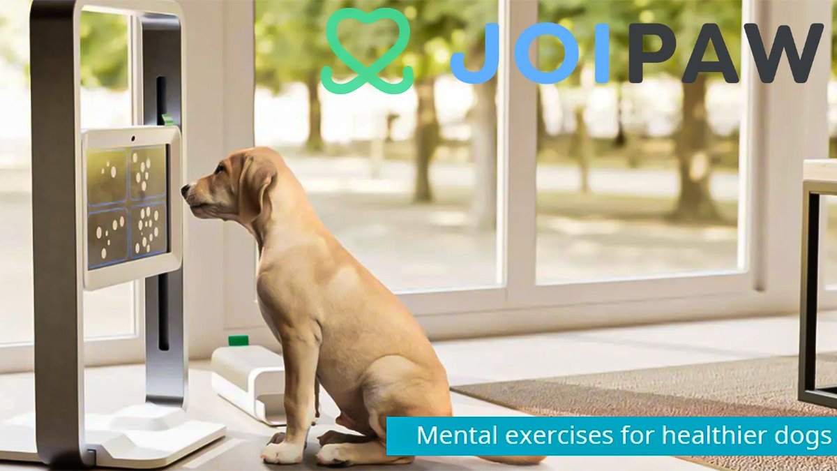 🐶Welcome To Joipaw🐶

Introducing Joipaw, a game console designed to keep your dog happy and healthy and to strengthen the bond between you and your furry friend coming soon! ❤️

Sign up here for exclusive updates! 
joipaw.com

#Joipaw #DogsOfTwitter #Dog #DogLovers