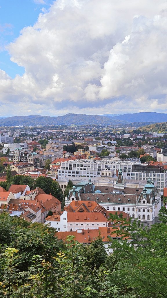 Elisa Paz tweet media