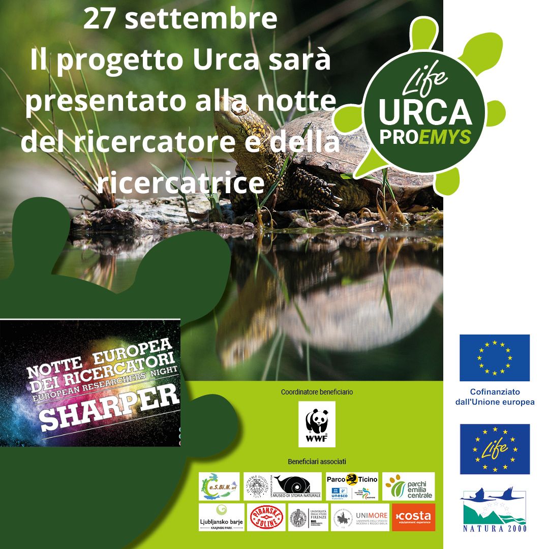 WWFitalia's tweet photo. Venerdì 27 settembre, in molte città italiane, si terrà "La Notte del ricercatore e della ricercatrice"
🔬 Il progetto Life URCA PROEMYS, dedicato alla conservazione della #testuggine palustre Emys orbicularis sarà presentato a Modena (San Geminiano) e Genova (Acquario)🐢 https://t.co/SaKIWBKmQM