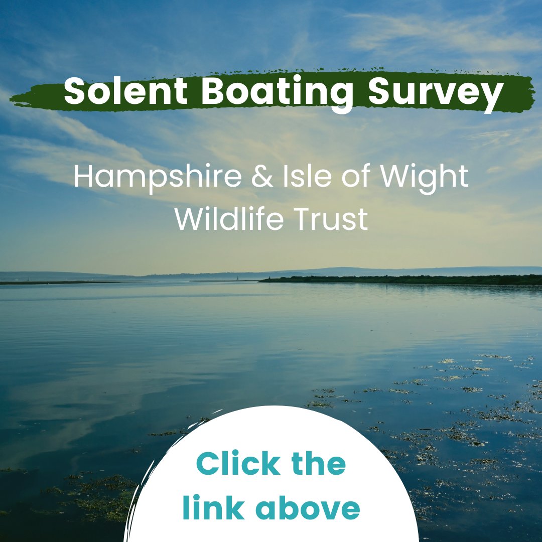 UK Blue Carbon Forum (@ukbluecarbon) on Twitter photo Are you a boater on the Solent? ⛵
If so, <a href="/HantsIWWildlife/">Hampshire & Isle of Wight Wildlife Trust</a> are conducting a survey to understand boaters' perspectives on mooring and anchoring practices in the Solent's seagrass meadows. Follow this link and share your thoughts. ➡️ loom.ly/D3fkQG0 Are you a boater on the Solent? ⛵
If so, <a href="/HantsIWWildlife/">Hampshire & Isle of Wight Wildlife Trust</a> are conducting a survey to understand boaters' perspectives on mooring and anchoring practices in the Solent's seagrass meadows. Follow this link and share your thoughts. ➡️ loom.ly/D3fkQG0