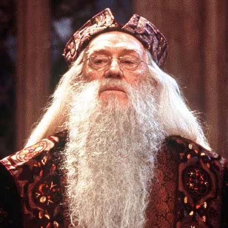 Jared Harris, son of Richard Harris (Dumbledore in the first two films) refuses to play Albus Dumbledore in the new Harry Potter series 🧙‍♂️

He said, “Why do it? The movies were great, leave them alone!” 🎬
