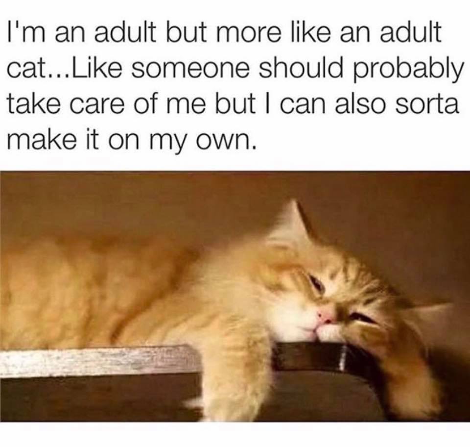 gretchemaben's tweet photo. Time to share some things that made me smile!

#TweetsOfJoy https://t.co/5gD2jyfvE8