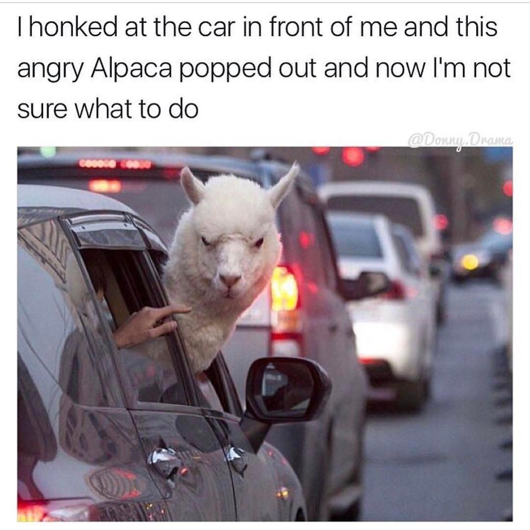 gretchemaben's tweet photo. Time to share some things that made me smile!

#TweetsOfJoy https://t.co/5gD2jyfvE8