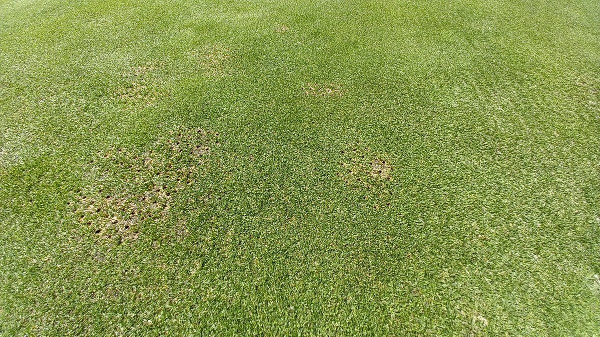 Jim Fancey tweet media