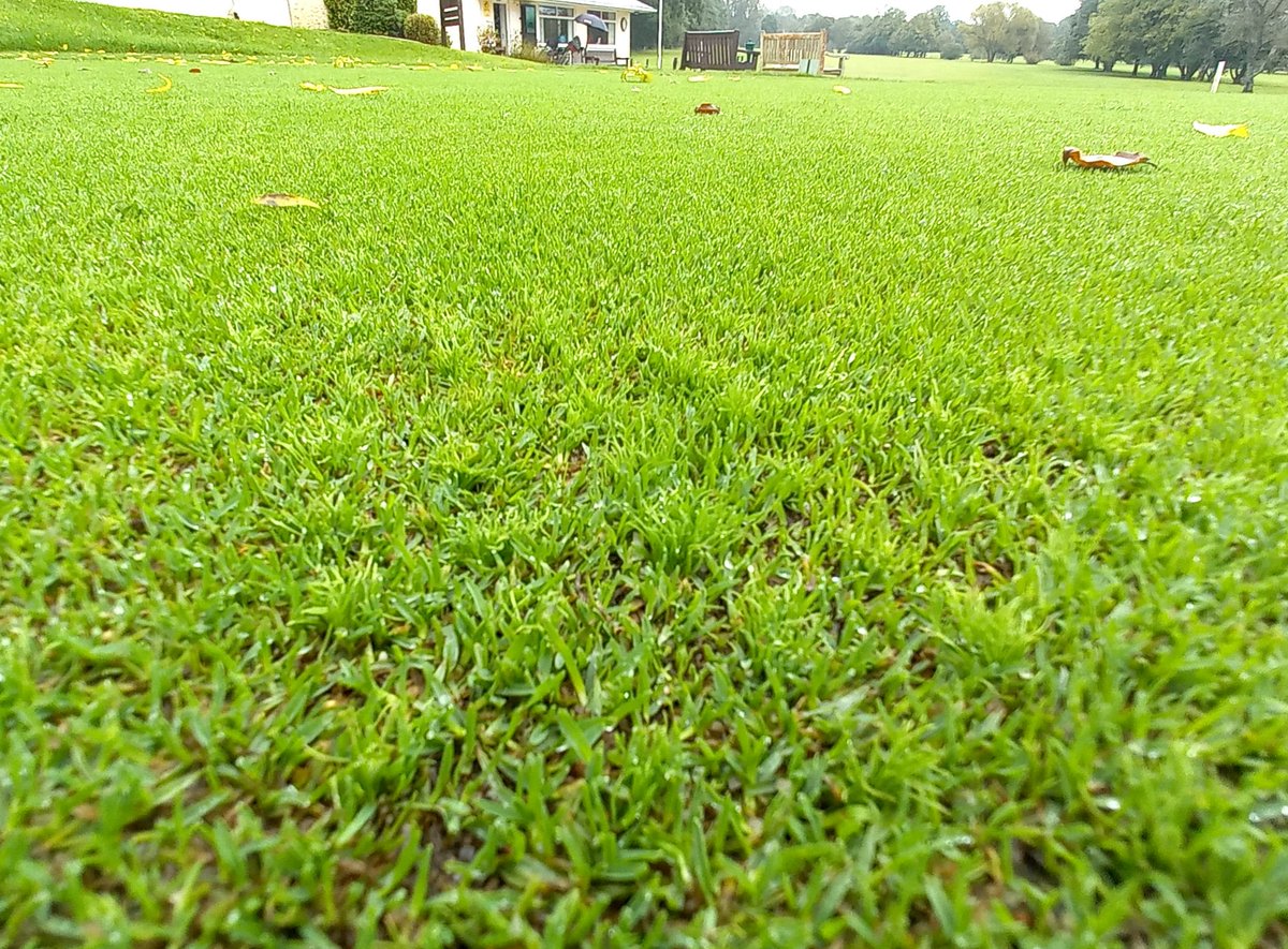 Jim Fancey tweet media