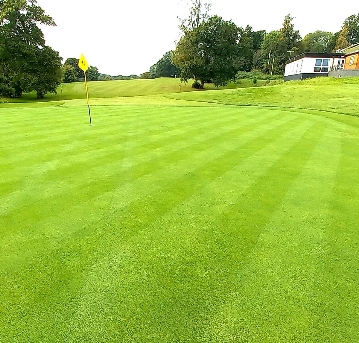 Jim Fancey tweet media