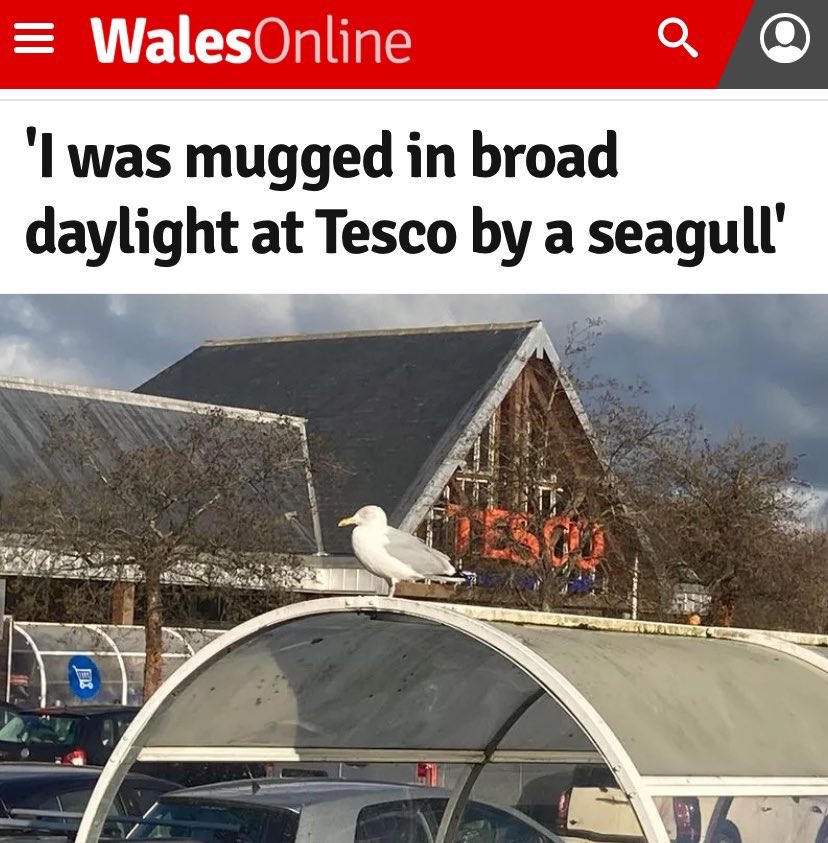 NoContextBrits's tweet photo. https://t.co/SnZQFNSg9E