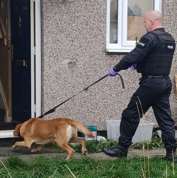 Two more arrests makes nine so far as part of Operation Artemis. 💪  

A 44-year-old man was arrested on suspicion of a theft of a motor vehicle and vehicle interference while a 42-year-old man was also arrested on warrant.

More: orlo.uk/oBhAY