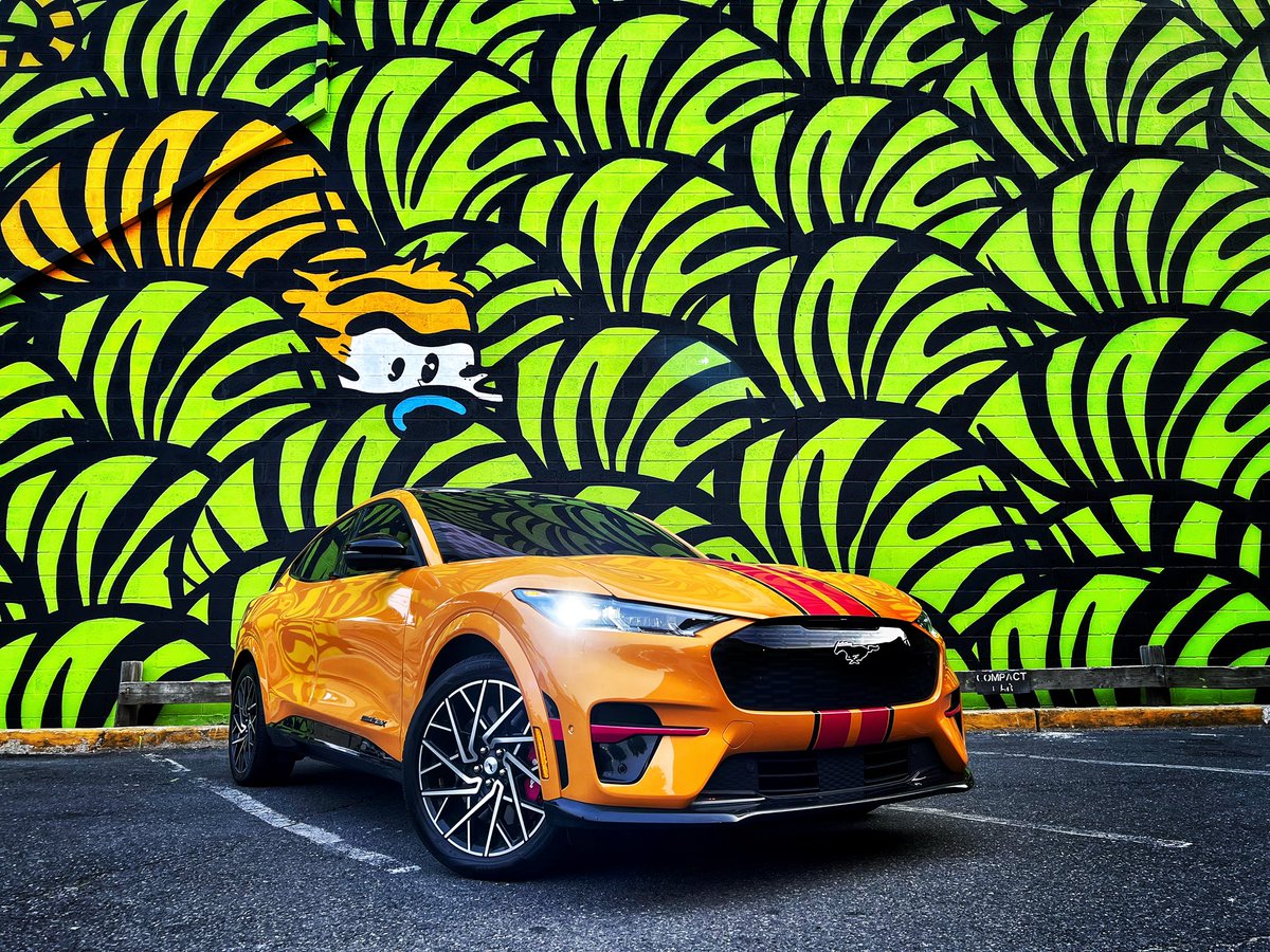 Amanda Stevens Photography tweet media