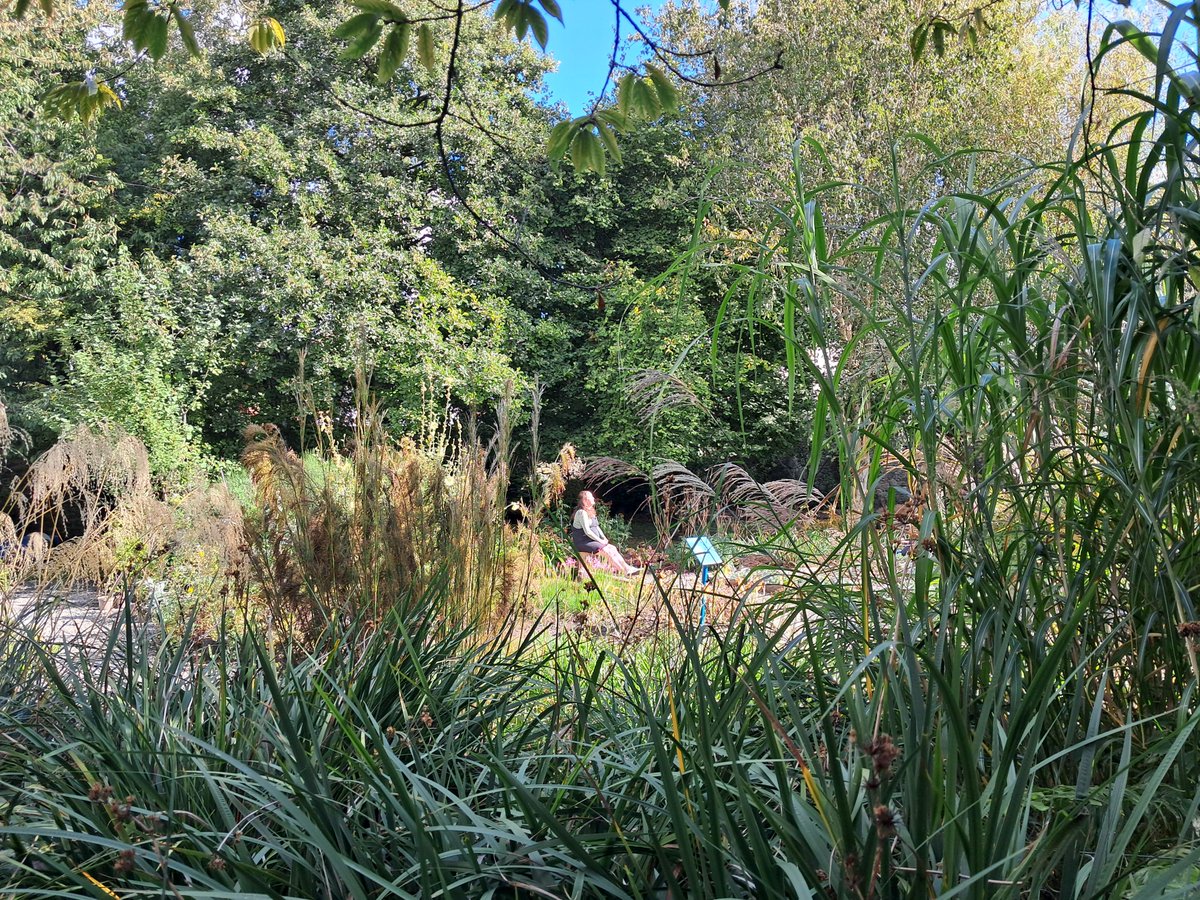 Trinity College Botanic Garden tweet media