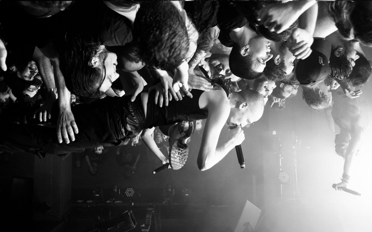 Satchel 📷 tweet media