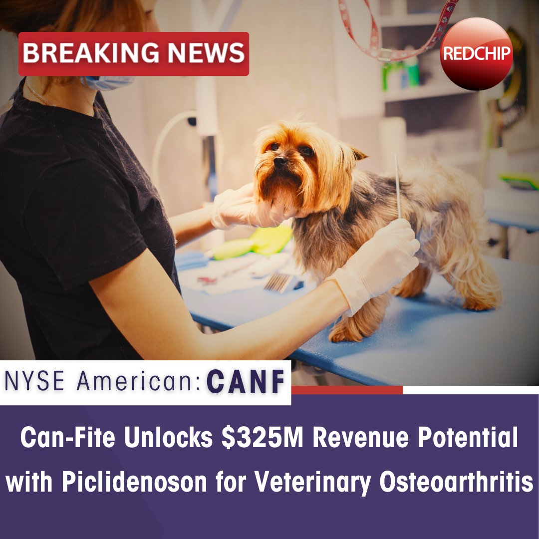 RedChip's tweet photo. Read More HERE: https://t.co/qHUQrIHBVm
$CANF #CanFite #A3ARTherapies #BiotechInnovation #SmallCap #vet #veterinary #CancerAndInflammation #Psoriasis
#LiverDisease #OrphanDrug #FastTrackApproval #Biopharma #FDA #ClinicalTrial #PharmaInvestment #Biotech #MedicalBreakthrough https://t.co/XCcrHfi9AC