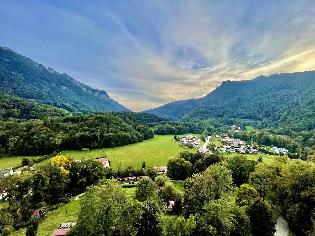 Shiri Gur-Cohen 🟦 tweet media