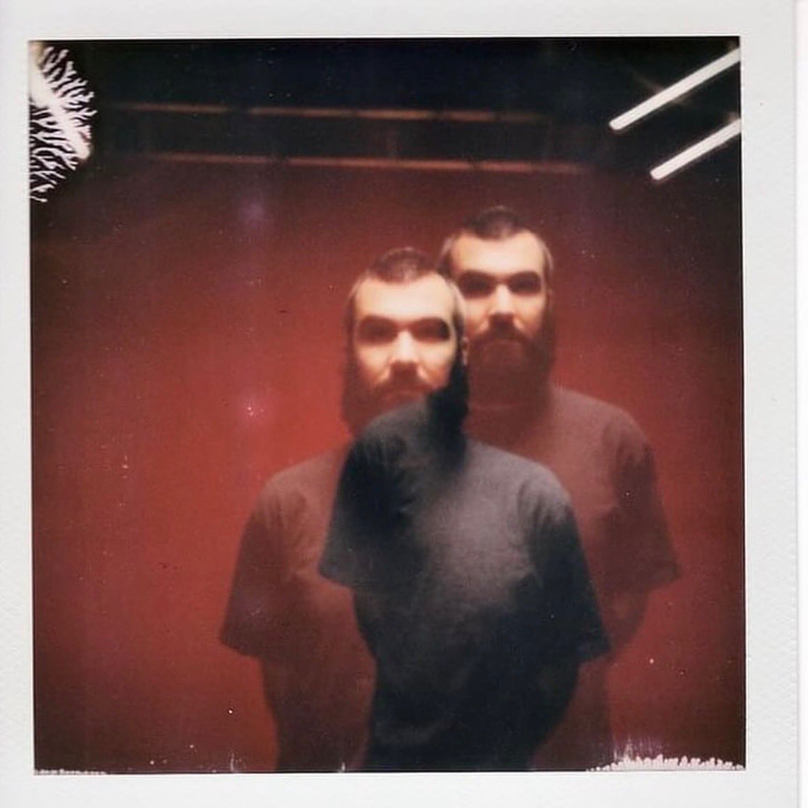 LOCKSTEP tweet media