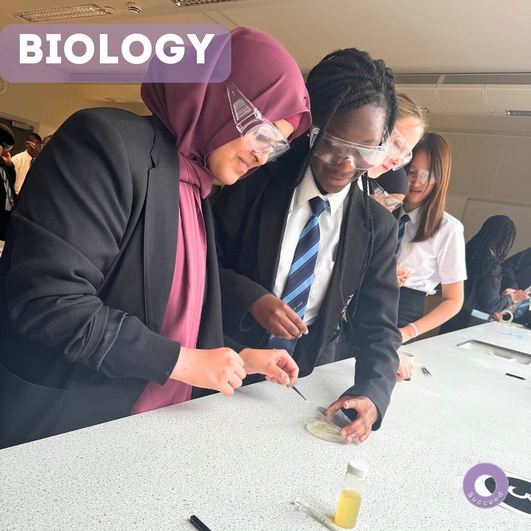 Practical science 🔬 

Our year 10 students have explored a required practical this week as part of their GCSE Biology course 🧫

They are learning about preventing bacterial growth and looking at which antibiotics are most effective against E.Coli 🧪