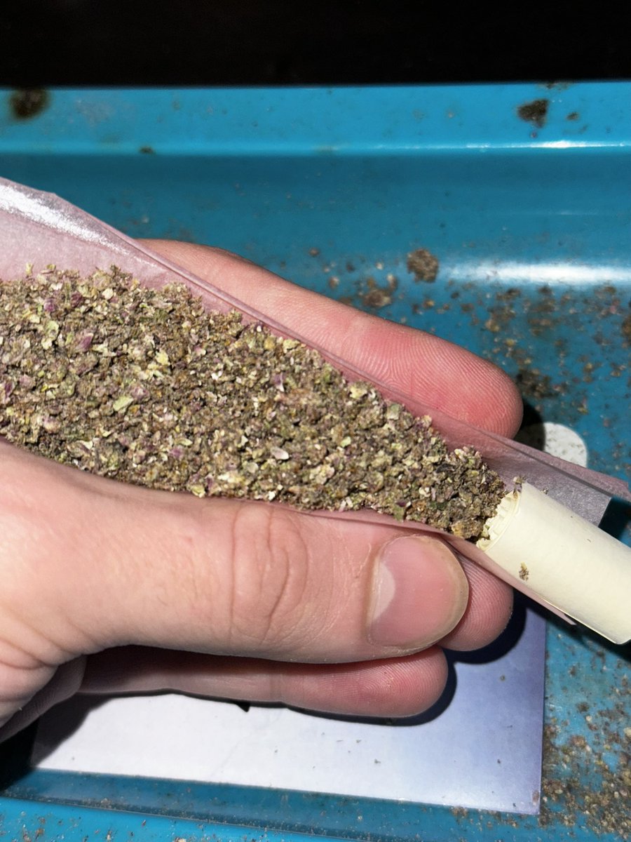 callmeplayaaa's tweet photo. What strain is it?😋(your opinion) https://t.co/gen3ZfNaCC