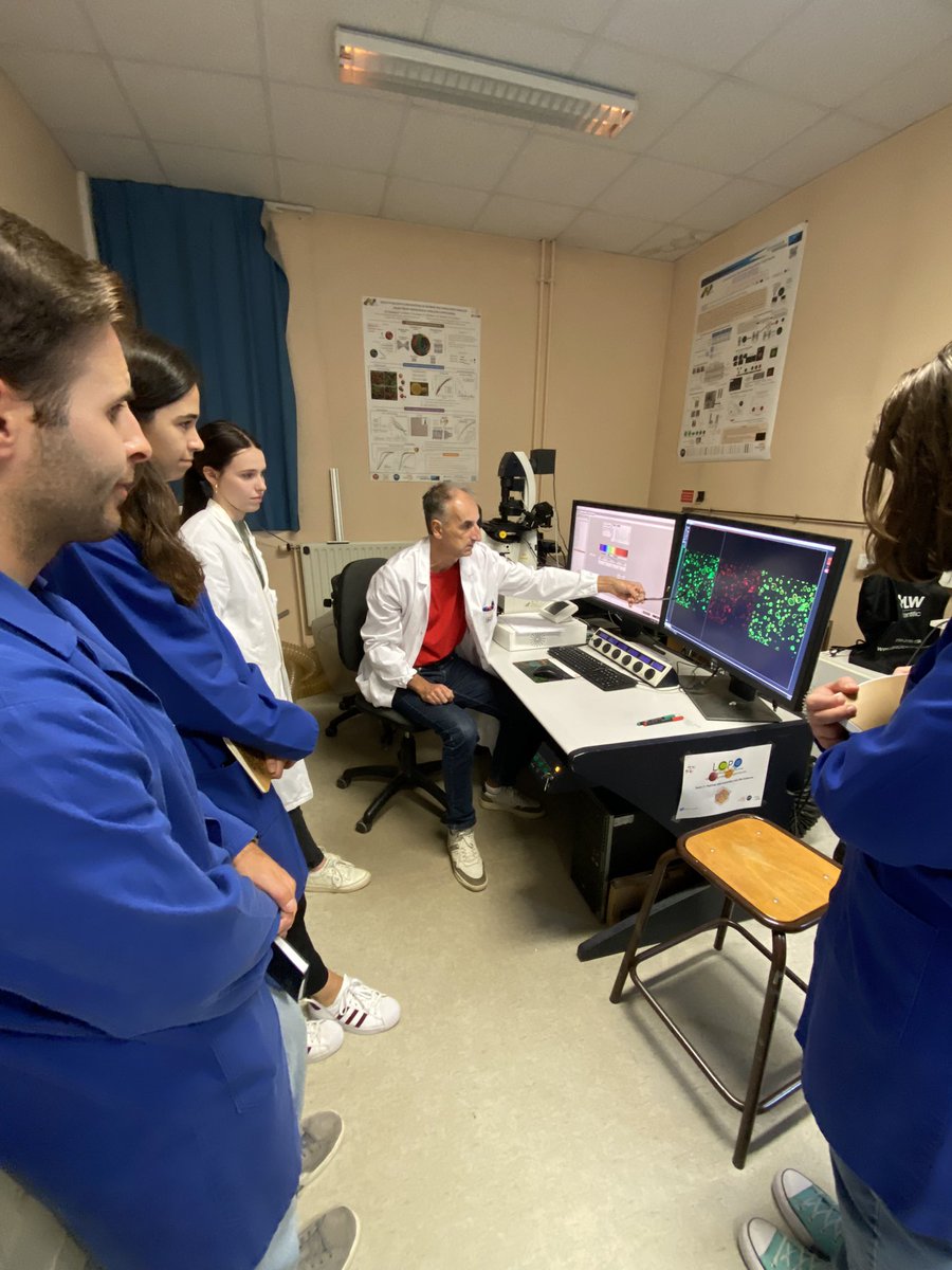 SupraLife (@supralife_eu) on Twitter photo 👉 Fantastic 2nd day <a href="/LCPO_Bordeaux/">LCPO</a> 🇫🇷 full of lab activities 🤩
Students/researchers from <a href="/UnivAveiro/">Universidade Aveiro</a> & <a href="/TUeindhoven/">TU Eindhoven</a> learned about #compartmentalized #polymersome production, #microfluidics, #drug & #photo-induced release in giant polymersomes by #confocal #microscopy &➕👩🔬👨🔬 👉 Fantastic 2nd day <a href="/LCPO_Bordeaux/">LCPO</a> 🇫🇷 full of lab activities 🤩
Students/researchers from <a href="/UnivAveiro/">Universidade Aveiro</a> & <a href="/TUeindhoven/">TU Eindhoven</a> learned about #compartmentalized #polymersome production, #microfluidics, #drug & #photo-induced release in giant polymersomes by #confocal #microscopy &➕👩🔬👨🔬