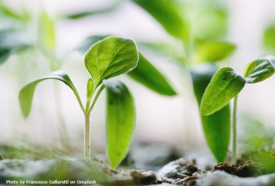 ASIMagazine's tweet image. Among the polymers used in packaging HMA formulations, low-viscosity polyolefin materials have demonstrated superior features compared to EVA based formulations. Learn more: brnw.ch/21wN74s

#biobased #elastomers #hotmelts

Image: Francesco Gallarotti on Unsplash