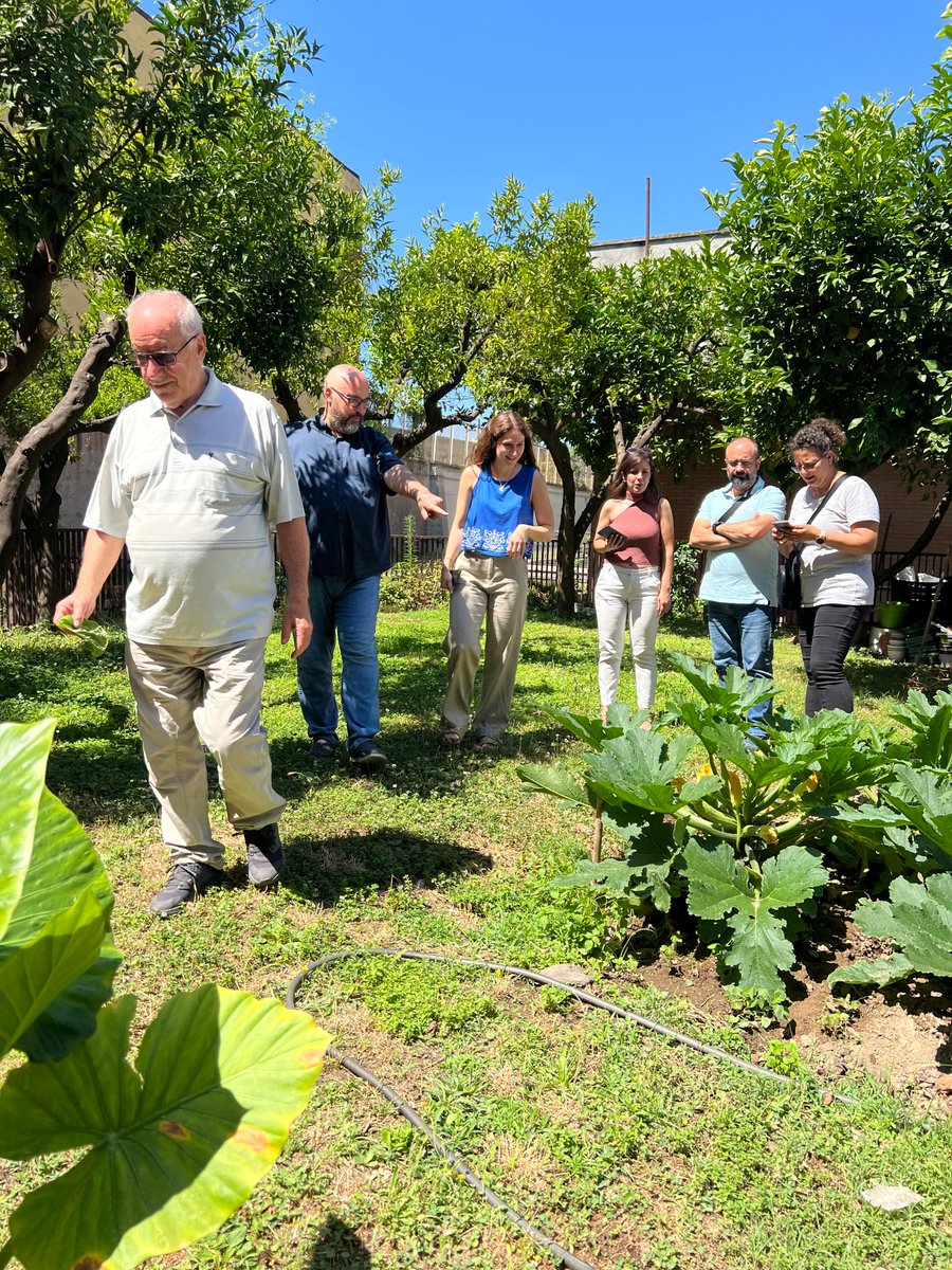 Delicious PRIMA Project tweet media