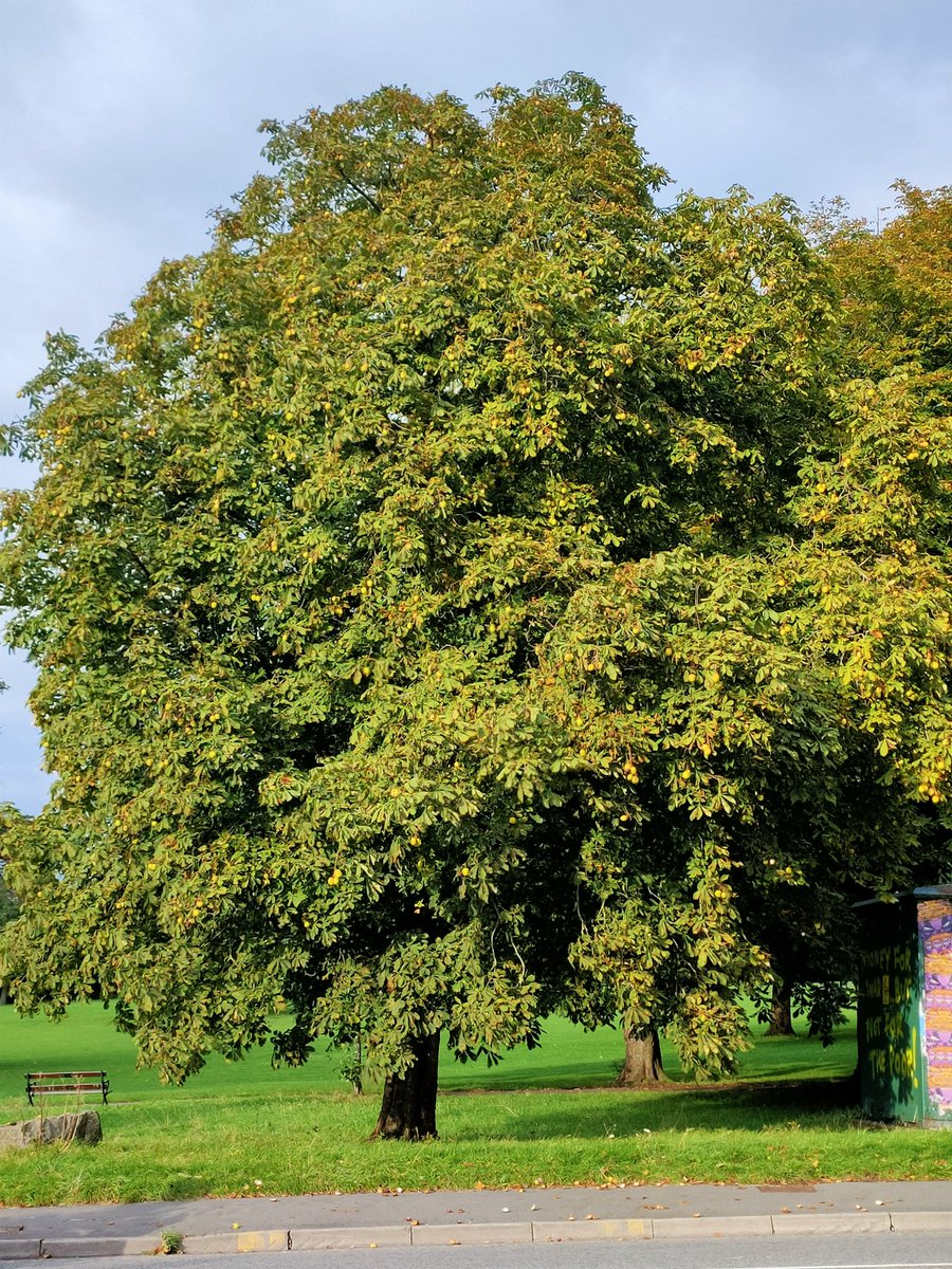 Matt Wickham tweet media