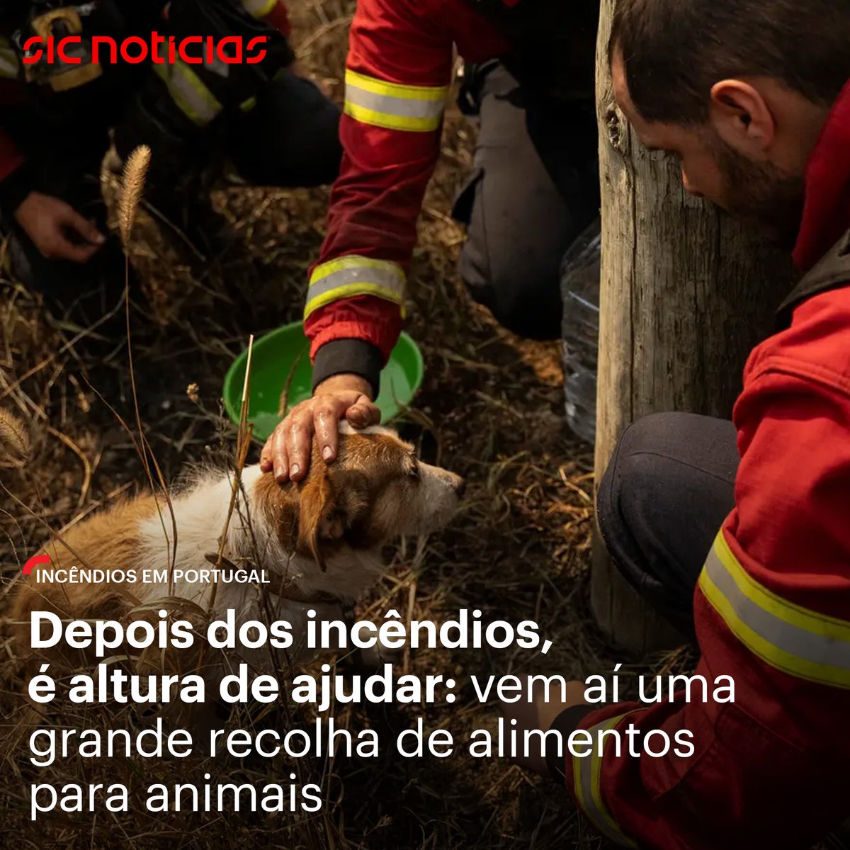 Durante três fins de semana vai ser possível ajudar. A recolha vai acontecer em mais de 1.000 supermercados pelo país e vai ajudar aqueles que foram afetados pelos incêndios da semana passada.

Saiba mais em bit.ly/3MUHaIu