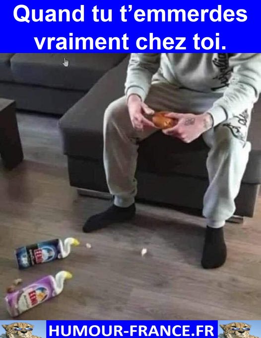 text alternatif
