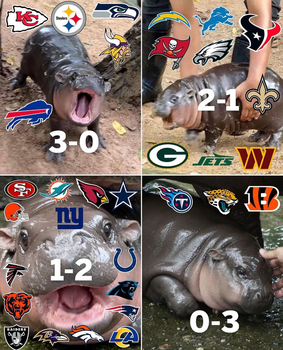 𝙑𝙞𝙠𝙞𝙣𝙜𝙨 𝙈𝙪𝙨𝙚 tweet media