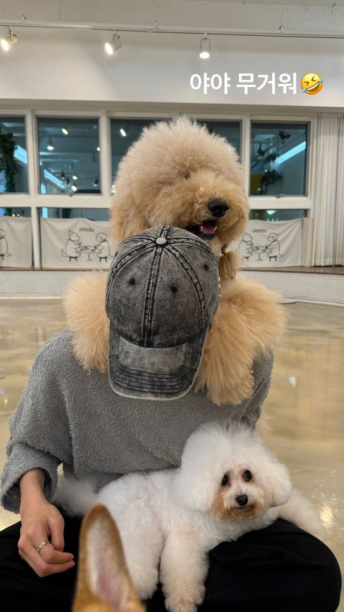 liwsng's tweet photo. 내가 낫윤을 어떻게 받아들여야 됨?
이게 데이트가 아니면 대체 뭐임? https://t.co/wLzXHtpf85