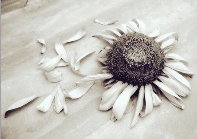 #مشاعرك_الان

#بوح_الخاطر 

يعلم الله أني قاومت واجتهدت وتشبّثت ، يعلم الله أني لم أيأس قط ، يعلم الله أني تزعزت وصبرت حتى لم يعد بي صبر ولم يبقى بي قوة ، ولم تعد يداي قادرة أن تشبّثني أكثر ، و لم أعُد أستطيع أن أُقاوم ..

😔🥀