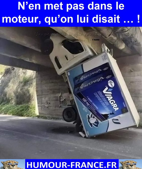 text alternatif