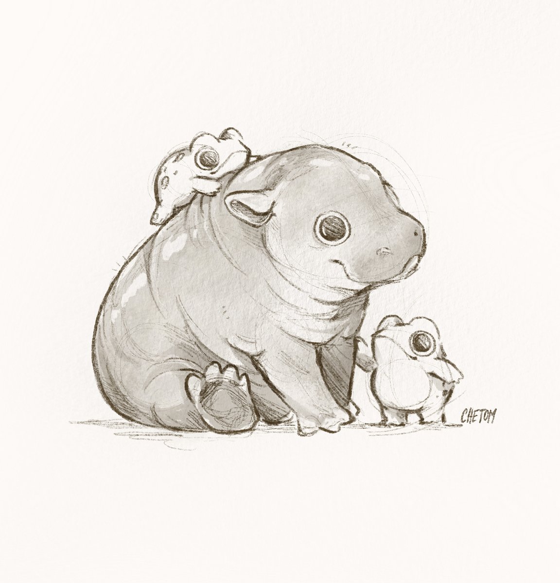 chetom ✨🐸🧡⭐ tweet media