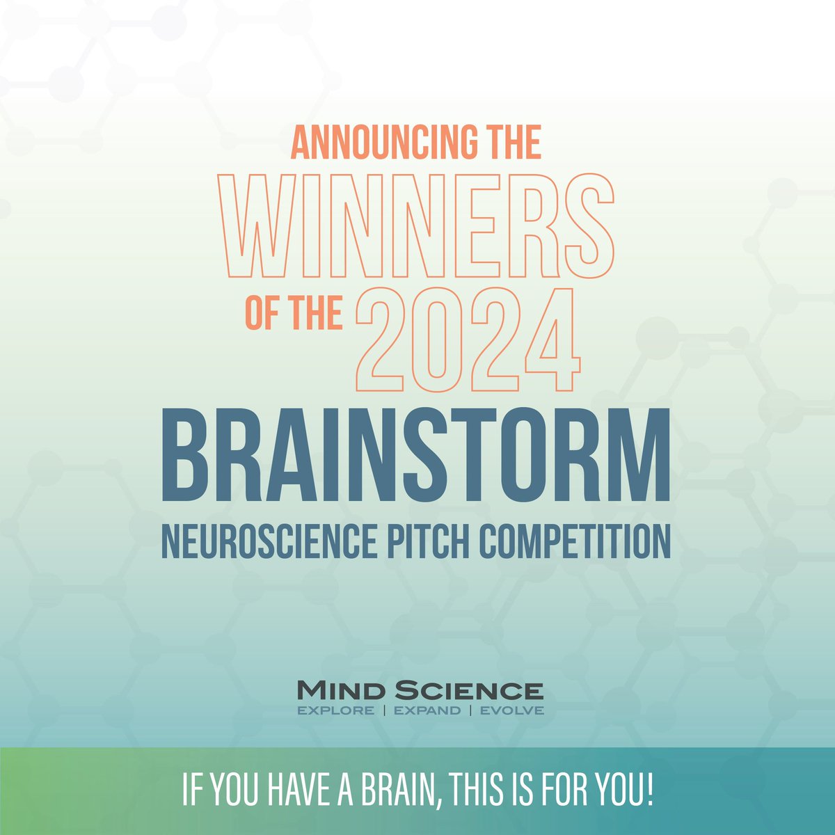 MindScienceFdn tweet media