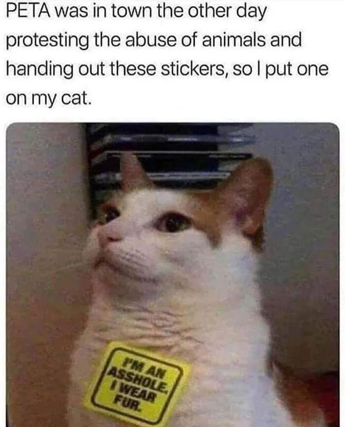 WholesomeMemes (@wholesomememe) on Twitter photo 