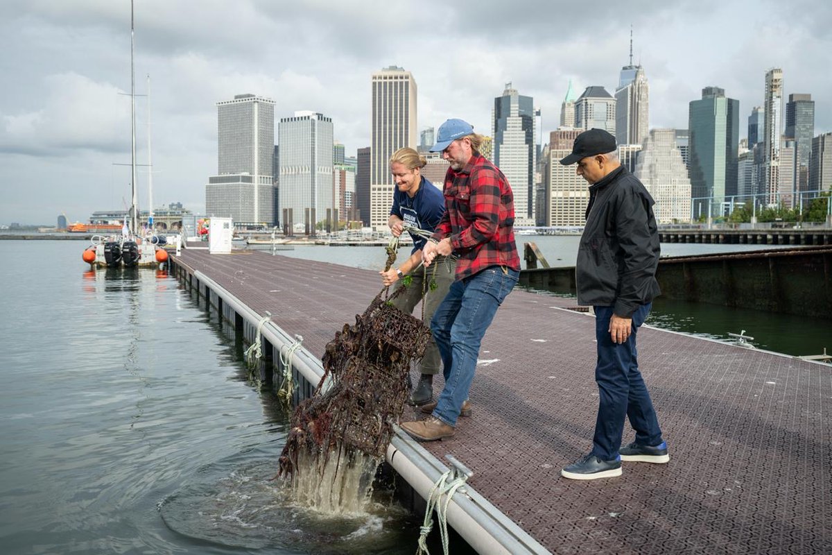 LDNMayor Environment (@ldn_environment) on Twitter photo During <a href="/MayorofLondon/">Mayor of London, Sadiq Khan</a>'s visit to New York, he saw nature cleaning nature in the Hudson River via the introduction of 1 billion oysters.
He today committed to turbo-charge the return of nature to Londonâs rivers.
london.gov.uk/Mayor%20of%20L⊠During <a href="/MayorofLondon/">Mayor of London, Sadiq Khan</a>'s visit to New York, he saw nature cleaning nature in the Hudson River via the introduction of 1 billion oysters.
He today committed to turbo-charge the return of nature to Londonâs rivers.
london.gov.uk/Mayor%20of%20LâŠ