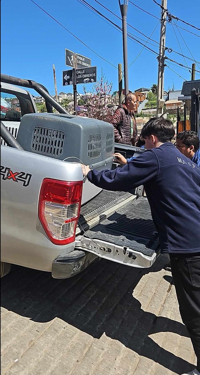 Kristian_Mella's tweet photo. HAN COMENZADO A EXTRAER A LOS PERRITOS DE MANOS DEL ABUSADOR DE VALPARAÍSO. 
ME ALEGRA DECIRLO. https://t.co/P8rti7xpBa