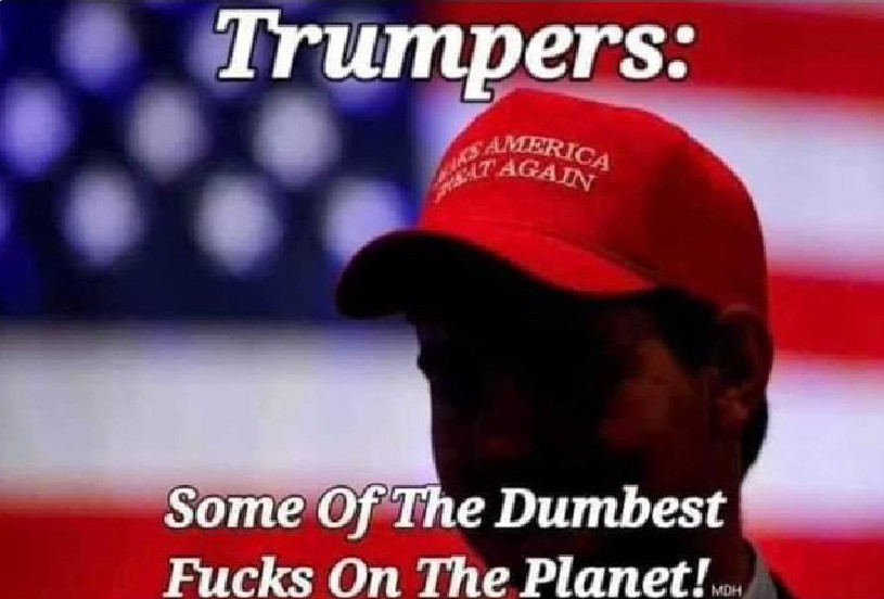 TweetyBuc53's tweet photo. @alrongstad @AgentSelf99B #TraitorsSupportTraitorTrump
BING BING BING!! #RESEARCH #SheepInMagaHats the #MAGACult #TrumpIsInsane dont even fathom that in their #UnderEducated brains 🤣
Mayb researching #Project2025IsTrumpAndVance so they know what their lives will look like once #TrumpIsADictator https://t.co/cAbd4H1RlD
