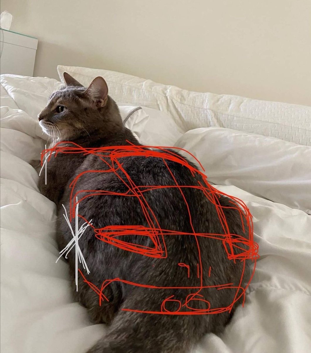 wllart's tweet photo. that’s how Ferdinand came up with design for Porsche https://t.co/D3WuLSFetT
