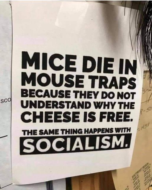 Freedom_2A's tweet photo. @catturd2 Mice die in mouse traps because the cheese is free. https://t.co/Wk8iBQ8gjD