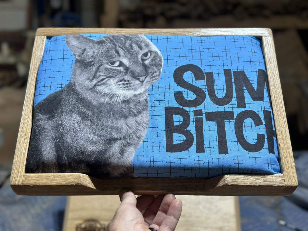 Strayables tweet media