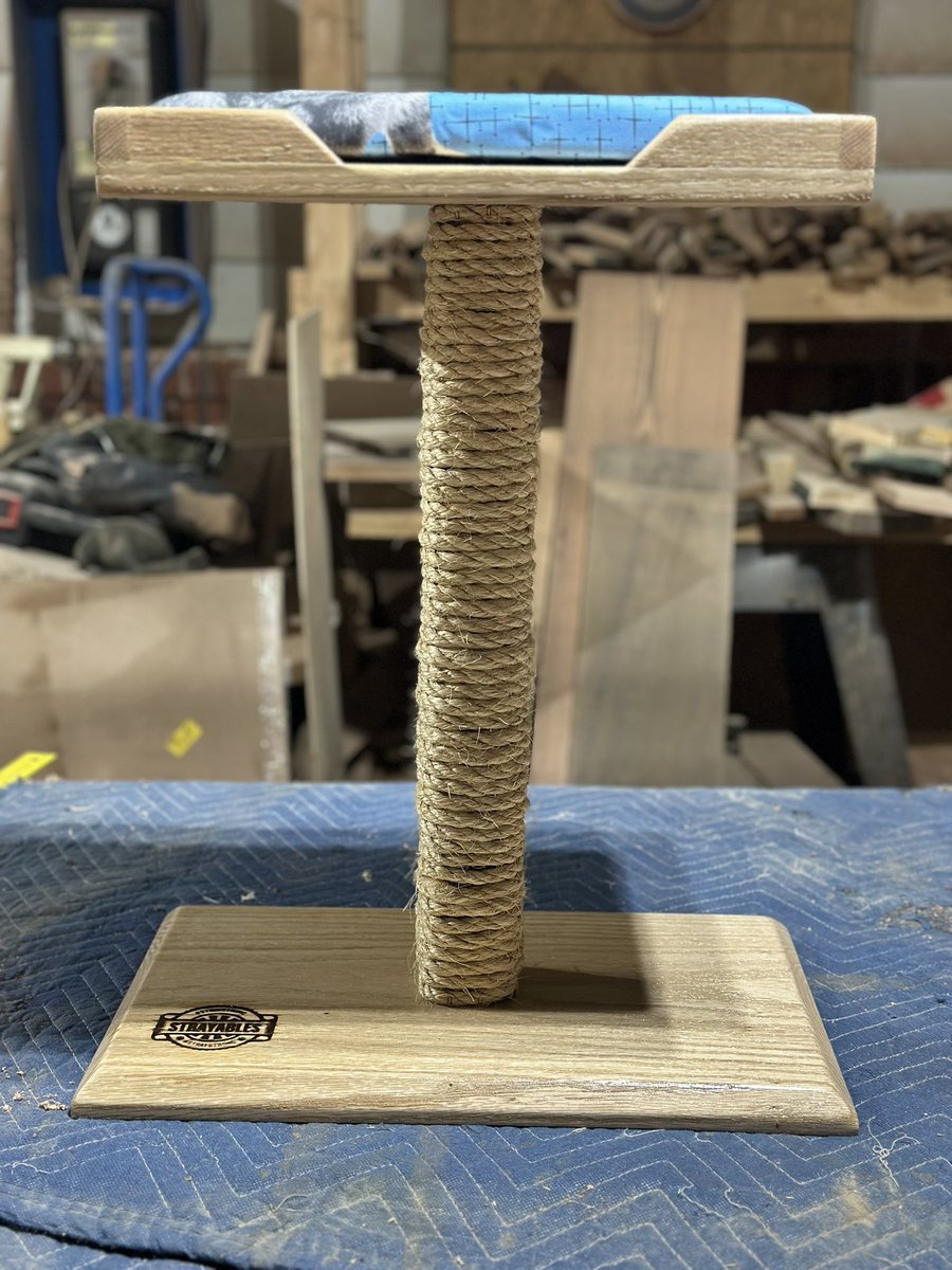 Strayables tweet media